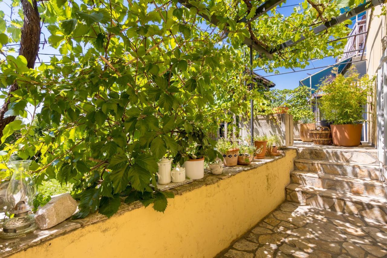 Charming Studio Apartment At House Rustica With Terrace And Nearby Parking Punat Ngoại thất bức ảnh